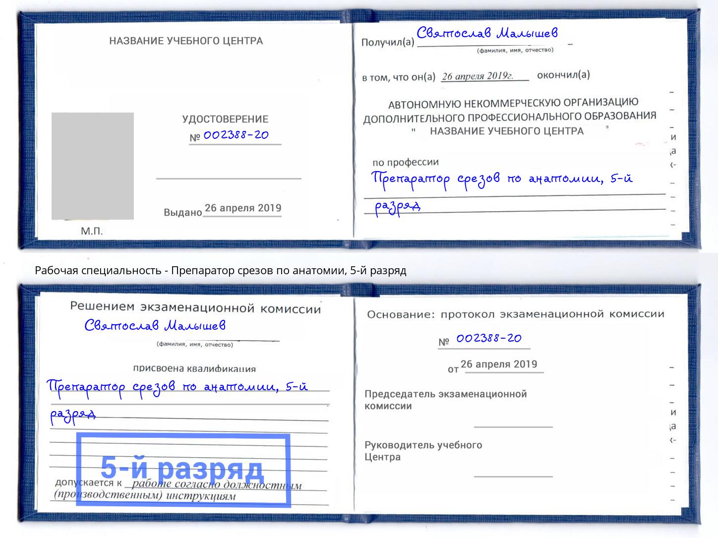 корочка 5-й разряд Препаратор срезов по анатомии Пушкино