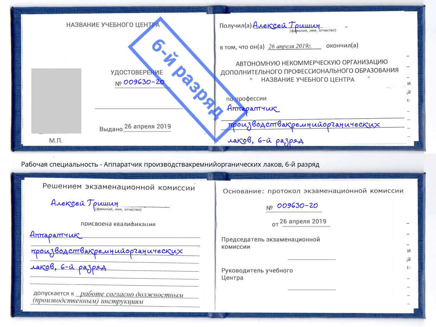 корочка 6-й разряд Аппаратчик производствакремнийорганических лаков Пушкино