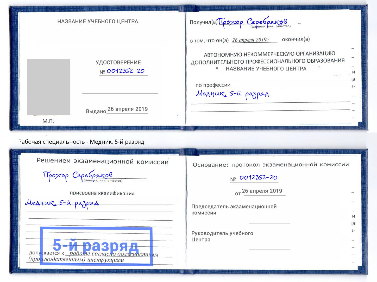 корочка 5-й разряд Медник Пушкино